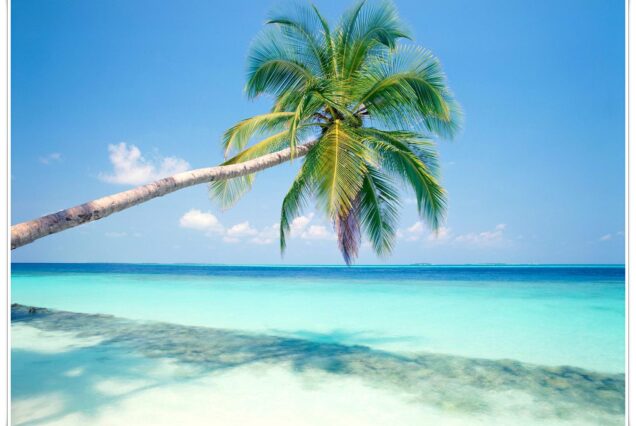 Aqua Trails - Andaman & Nicobar Islands – 6 Nights / 7 Days