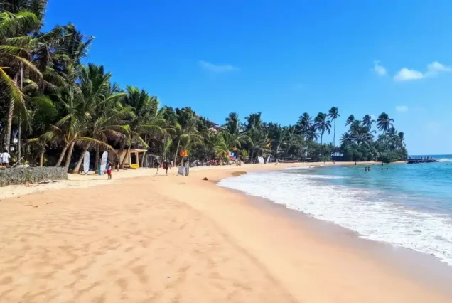 Extended Sri Lanka – 8Days/7Nights (Full Experience)