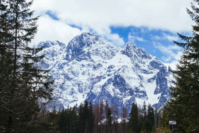 Classic Kashmir Circuit (8 Days / 7 Nights)